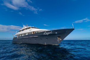 Galapagos Angel