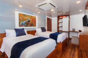 Twin Cabin